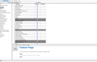 Feature_Flags (opciones) en radios Motorola TETRA